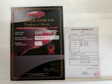 画像3: (13)現物写真　アジアアロワナ　スーパーレッド　紅龍　17cm±　1匹　写真の個体を届けます (3)