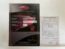 画像3: (4)現物写真　アジアアロワナ　スーパーレッド　紅龍　25cm±　1匹　写真の個体を届けます (3)