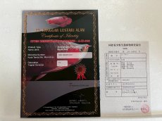 画像3: (15)現物写真　アジアアロワナ　スーパーレッド　紅龍　17cm±　1匹　写真の個体を届けます (3)